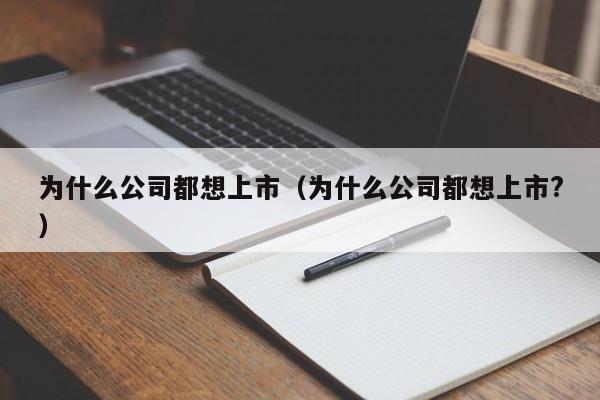 为什么公司都想上市(为什么公司都想上市?)