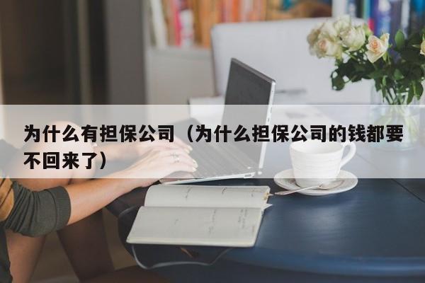 为什么有担保公司（为什么担保公司的钱都要不回来了）