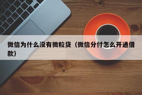 微信为什么没有微粒贷（微信分付怎么开通借款）