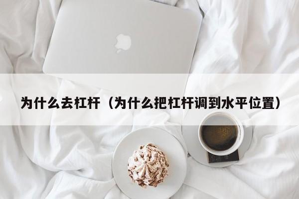 为什么去杠杆（为什么把杠杆调到水平位置）