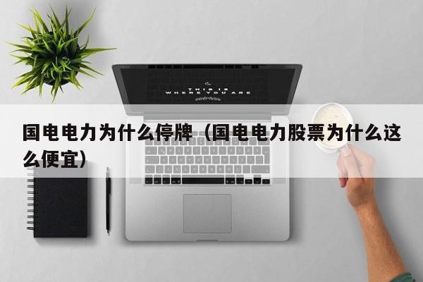 国电电力为什么停牌（国电电力股票为什么这么便宜）