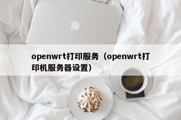 openwrt打印服务（openwrt打印机服务器设置）
