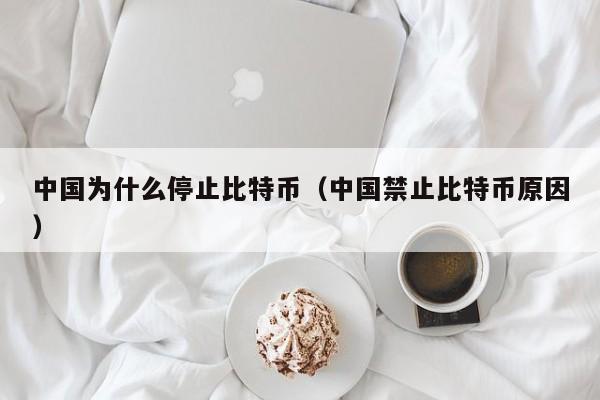 中国为什么停止比特币（中国禁止比特币原因）