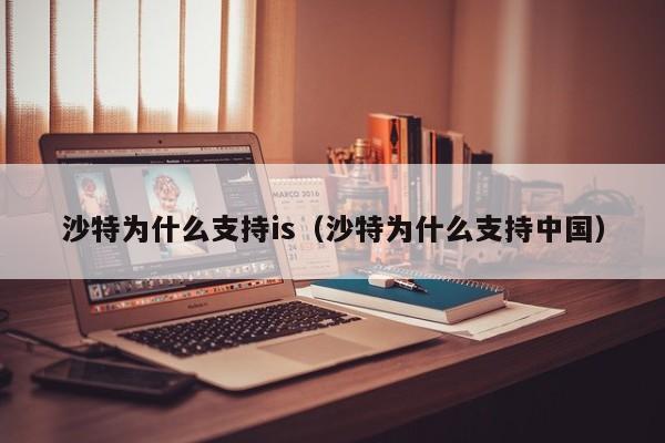 沙特为什么支持is（沙特为什么支持中国）