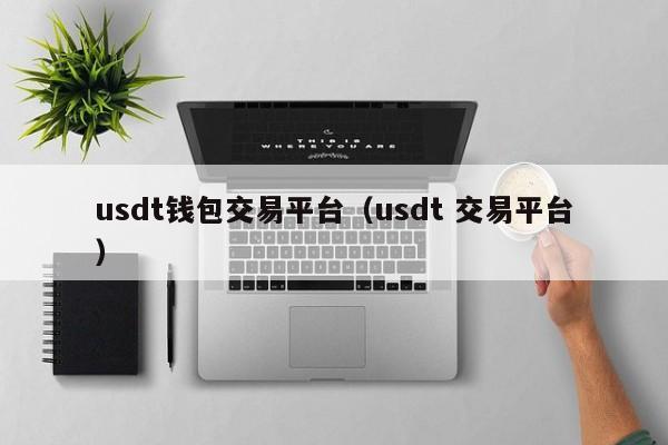 usdt钱包交易平台（usdt 交易平台）