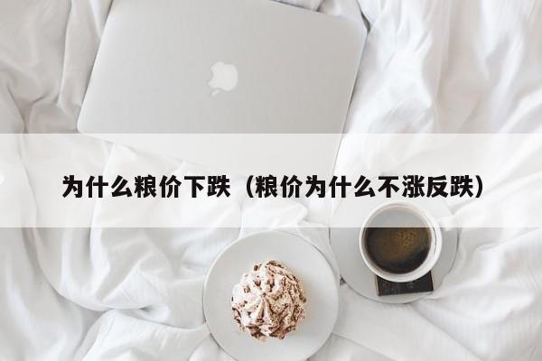 为什么粮价下跌（粮价为什么不涨反跌）