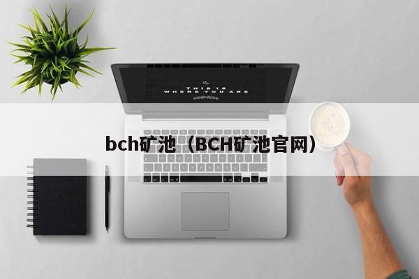 bch矿池（BCH矿池官网）